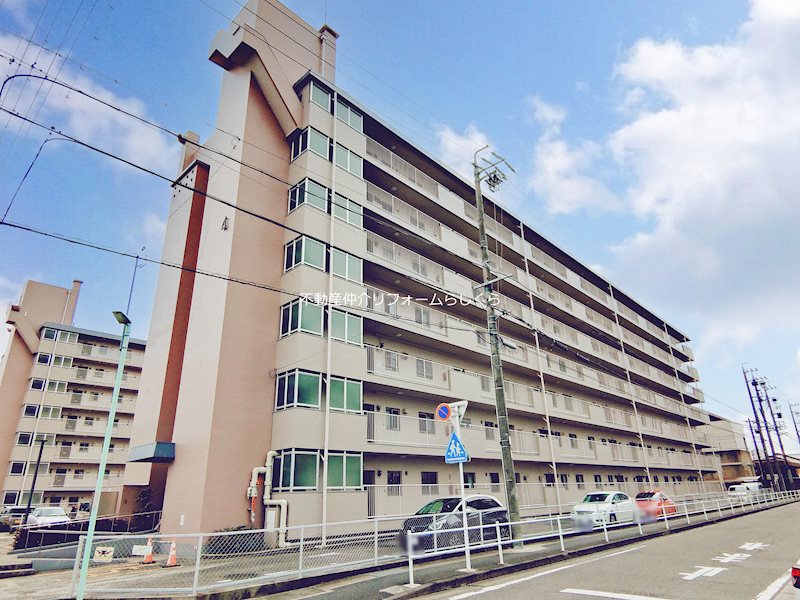現地写真