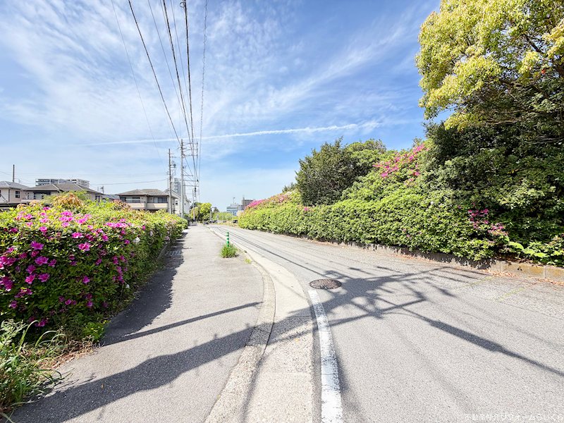 現地写真（前面道路含む現地写真）