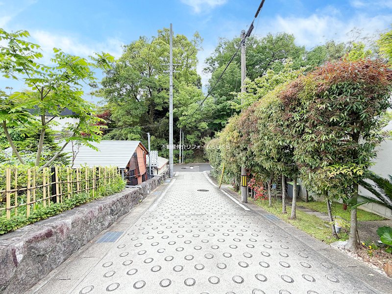 現地写真（前面道路含む現地写真）