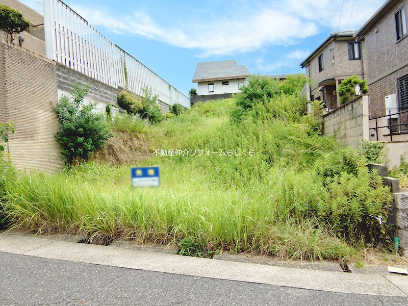 現地写真