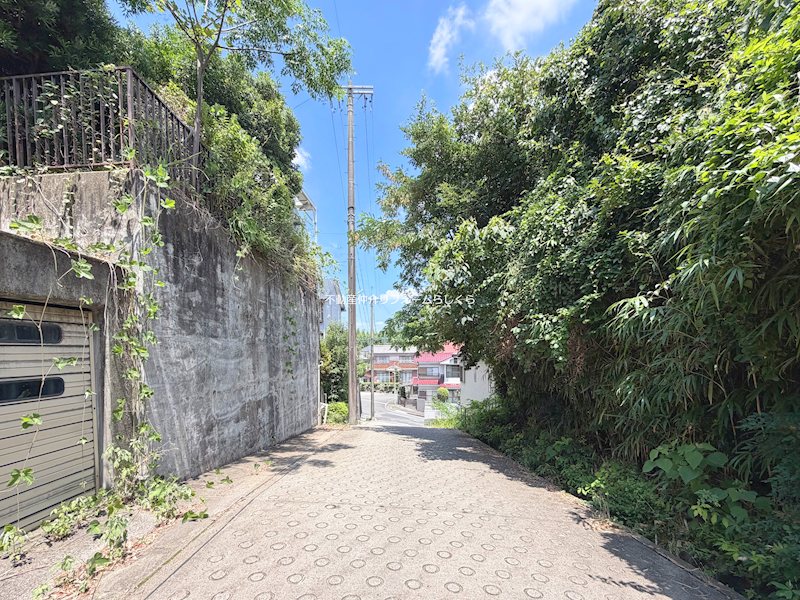 現地写真（前面道路含む現地写真）
