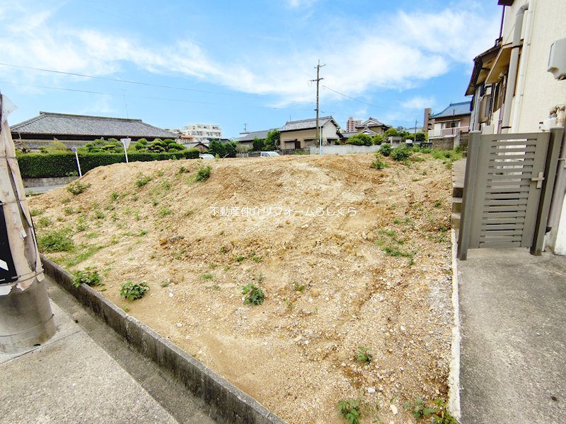 現地写真
