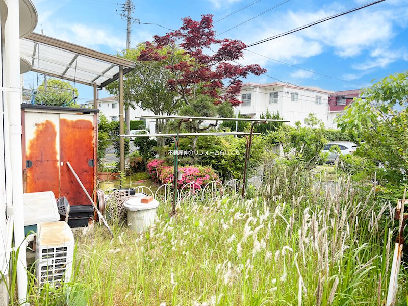 現地写真（庭）
