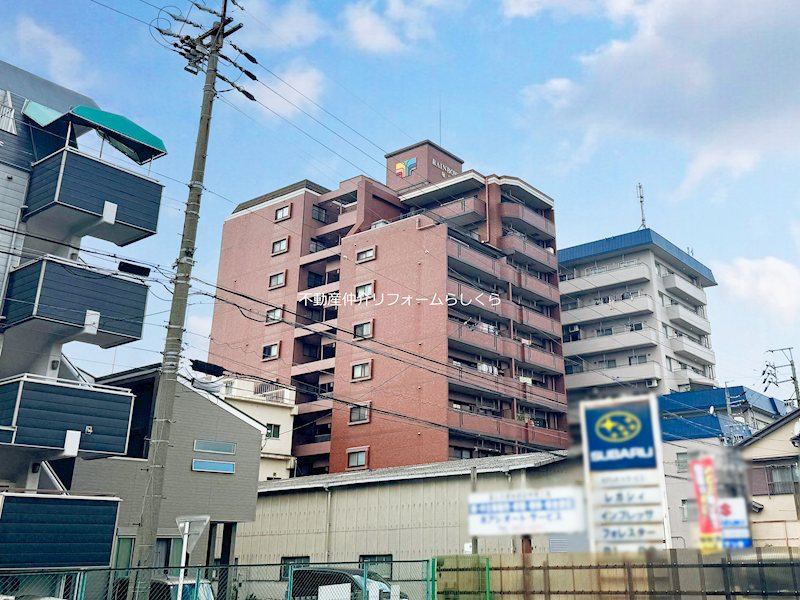 現地写真
