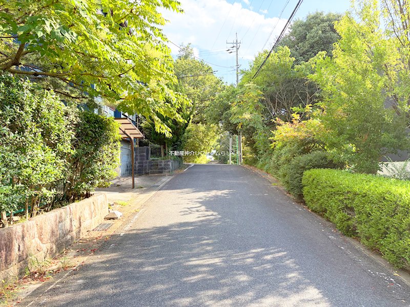 現地写真（前面道路含む現地写真）