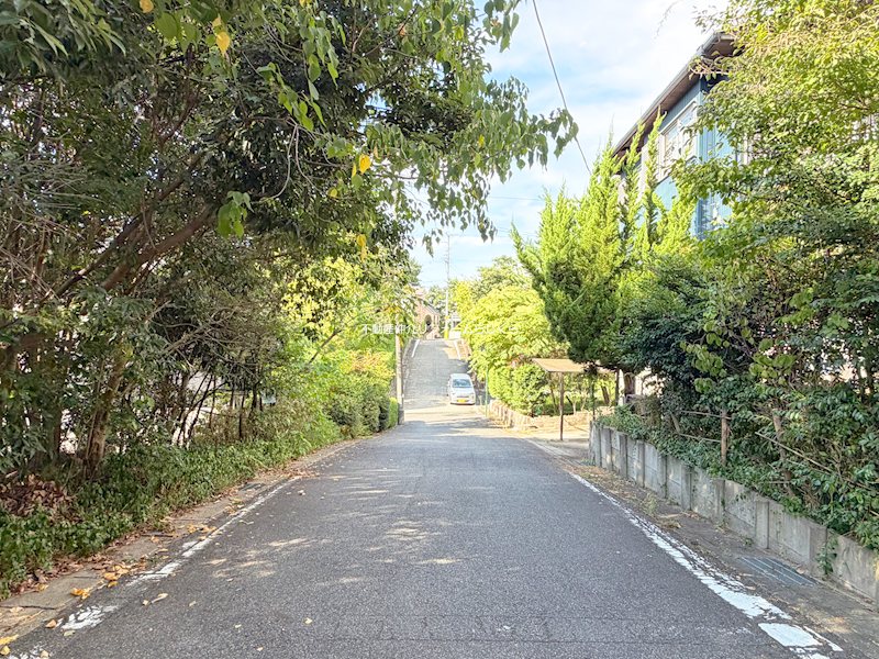 現地写真（前面道路含む現地写真）
