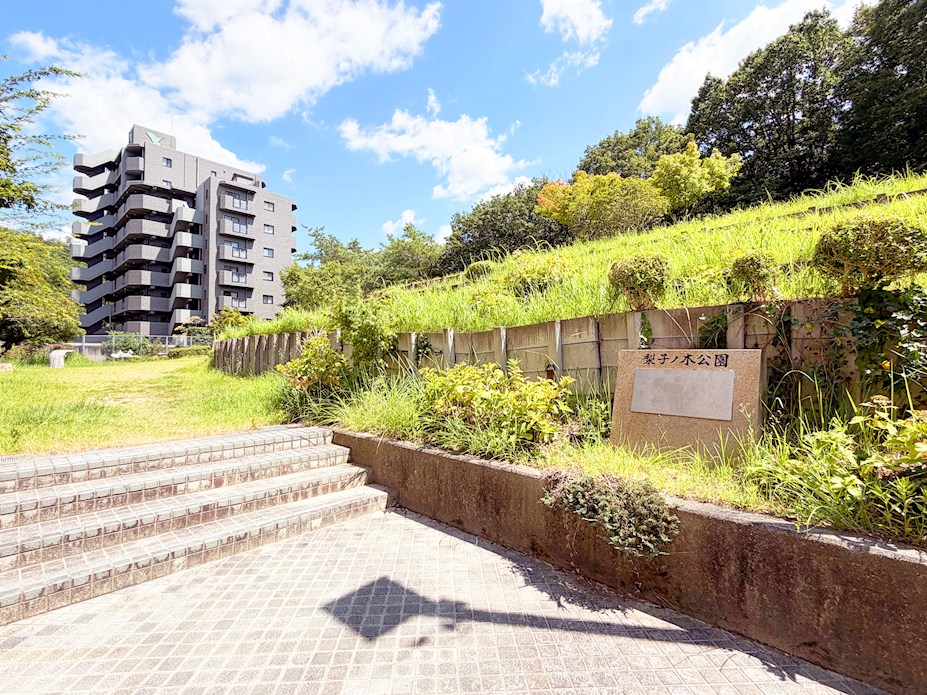 梨子ノ木公園