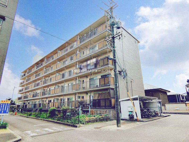 現地写真