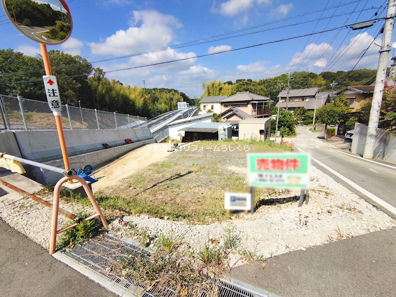 現地写真