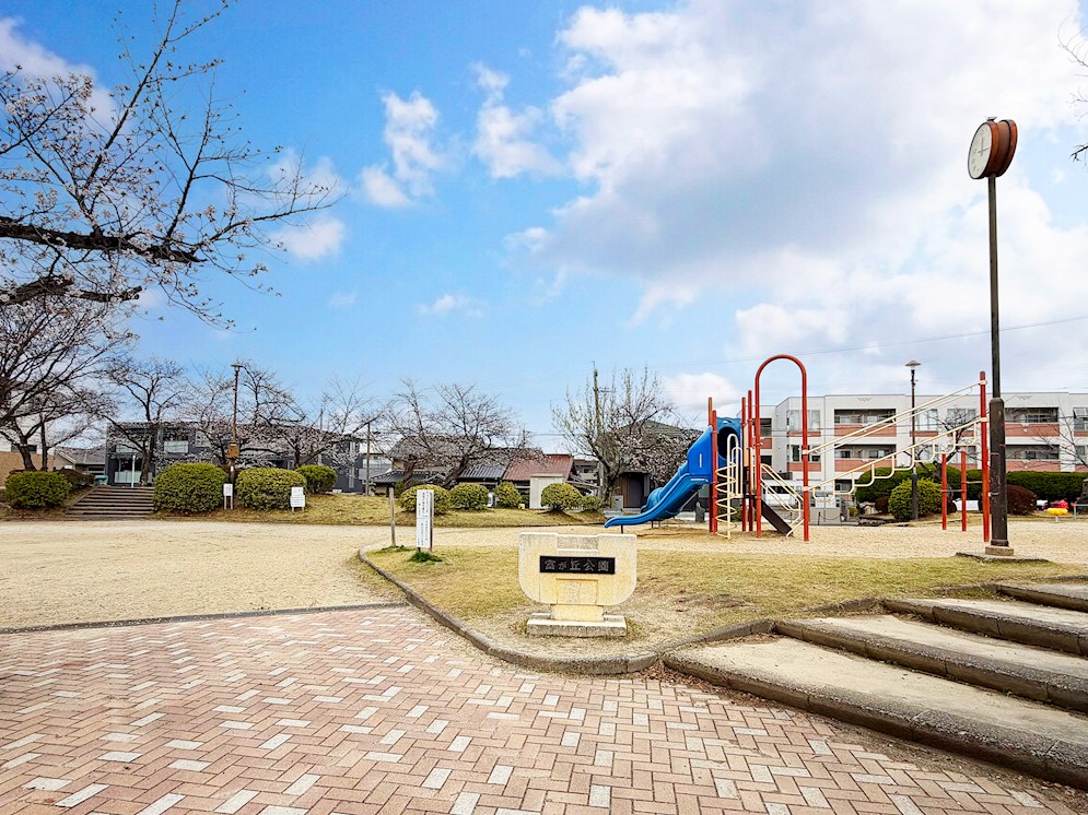 富が丘公園