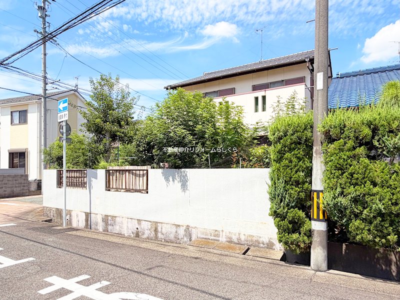 現地写真
