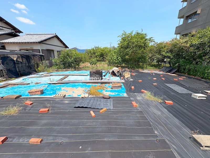 現地写真