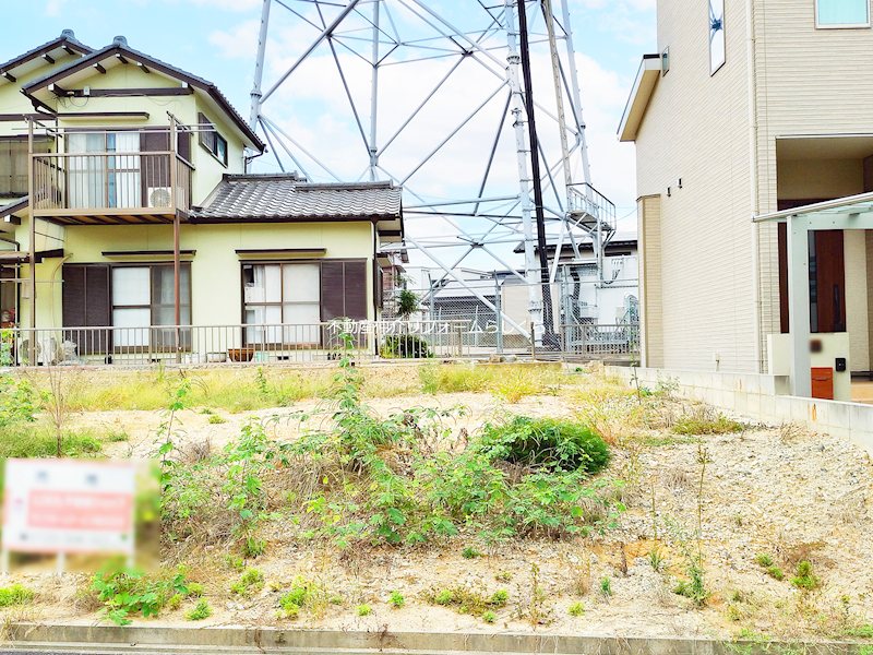 現地写真