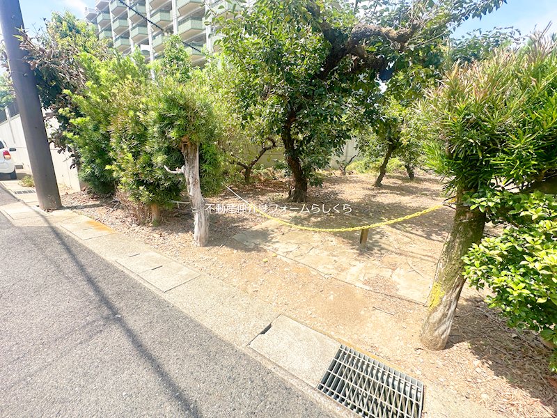 現地写真