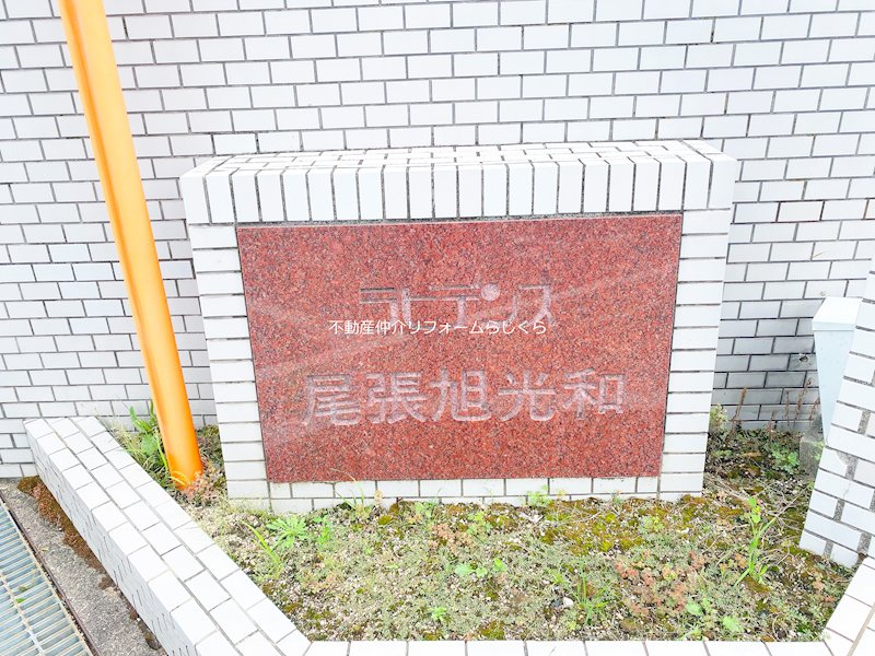 現地写真