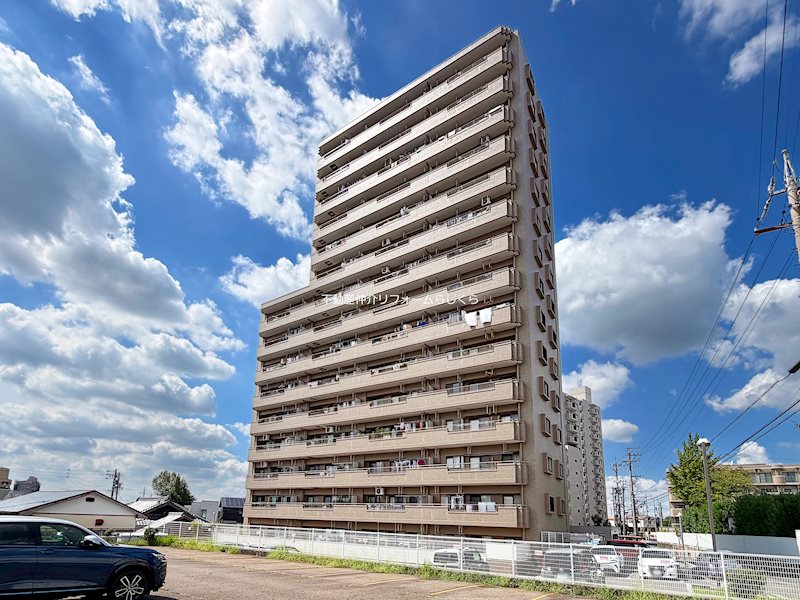 現地写真