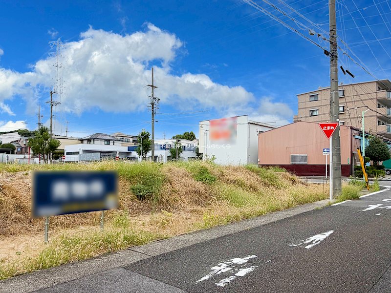 現地写真