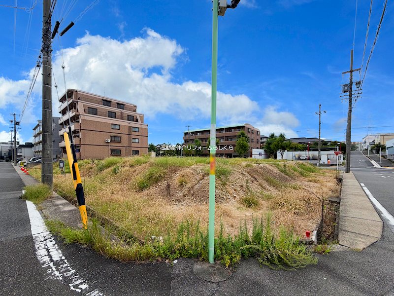 現地写真