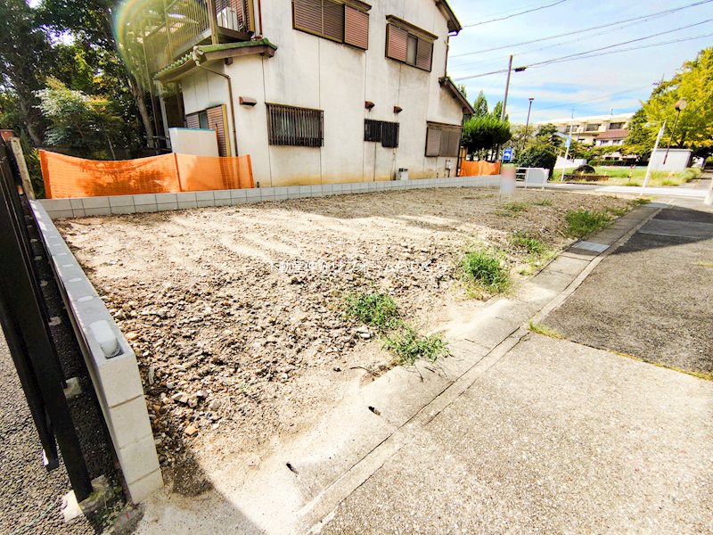 現地写真