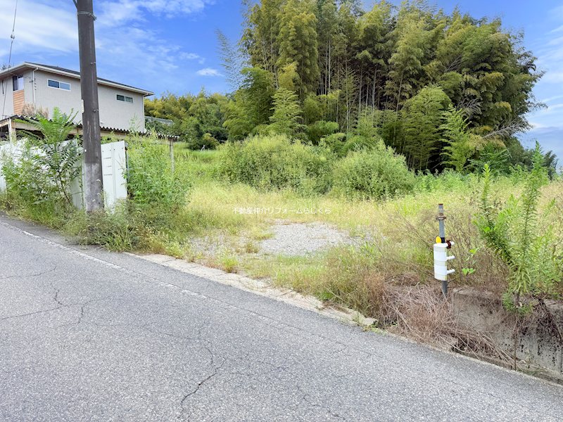 現地写真