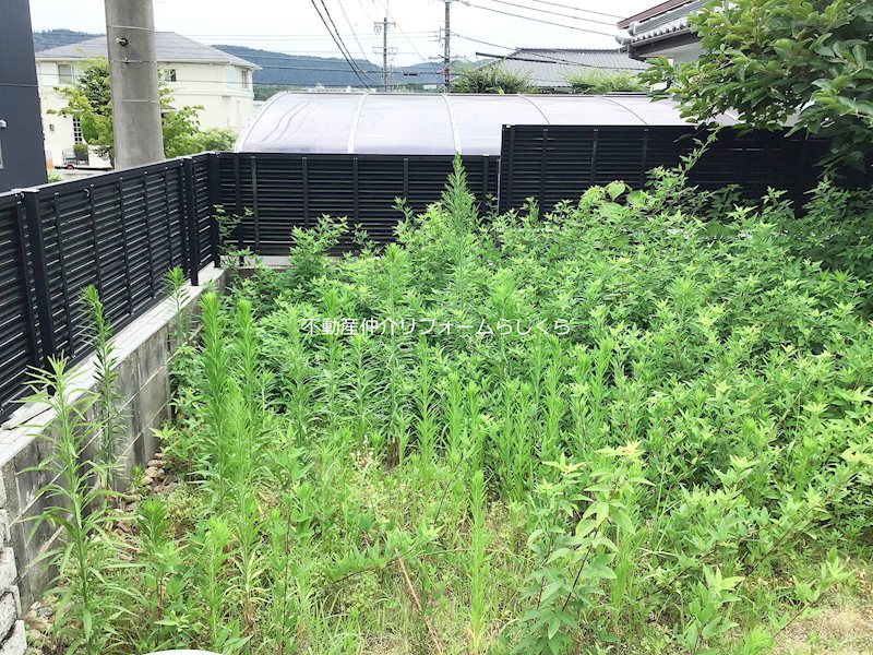 現地写真
