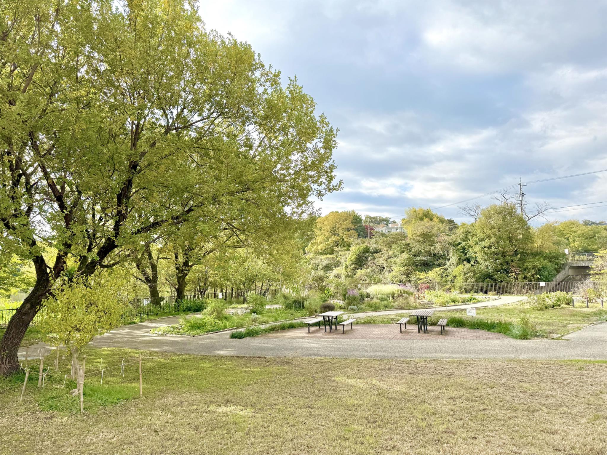 翠松園緑地
